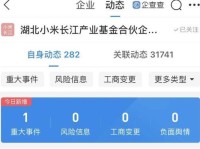 西安紫光国芯（解读紫光国芯）