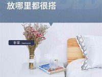 易安牌保险箱秘密解密（揭秘易安牌保险箱的隐藏功能和安全性能）