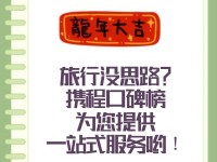 携程送机服务（体验快捷航班，尽享豪华接送）