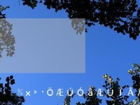 玖富分期购（为你带来无忧购物体验）