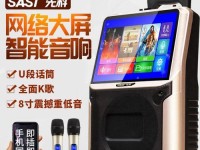 双屏幕播放（突破单一屏幕限制，享受全新多屏交互体验）