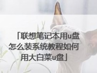 大白菜系统更换教程（从入门到精通，让你轻松掌握系统更换技巧）