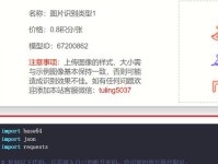 探索黑客编程的破解方法（保护信息安全的关键措施）