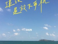 挥别手机，重拾自由（摆脱手机依赖，重获生活乐趣）