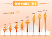 新中国成立至今高科技专利数量：创新成就与发展趋势