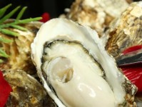 以翔彦期海鲜众筹（众筹平台上的海鲜盛宴，让你随时享受鲜美海产美食）