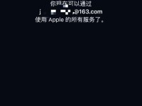 不使用苹果ID会对用户带来哪些影响？（探讨苹果ID的重要性和使用后的便利性）