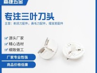 真汉子电动牙刷的使用体验与效果评测（为你带来真正的洁齿新体验，告别牙齿问题）