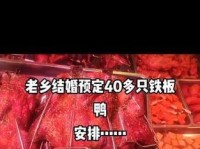 以配菜创业，打造美味的搭配艺术（发现无限可能，用创意点亮餐桌）