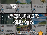 探寻苹果的魅力（苹果）
