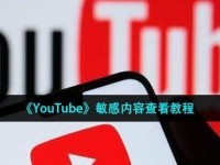 破解51tube的方法与技巧（掌握关键技术，畅享51tube视频）
