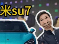 雷军（探索科技创新，领跑中国智能手机市场）