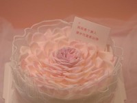 用手机表达对妈妈的感激之情（如何选择一部适合妈妈的手机）