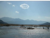 中关村z团的发展现状与前景（洞悉科技创新潮流，开创未来商业新纪元）
