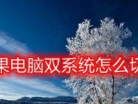 电脑苹果系统安装教程（详细指南及注意事项）