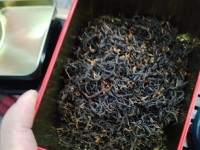 以红茶移动为主题的文章（红茶移动的发展现状及未来趋势）