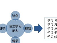 2024年自学IT的优缺点分析：自主学习与系统培训的权衡