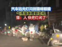 灯频闪对眼睛的危害（眼睛健康与灯频闪有关的注意事项）