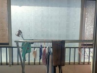 世纪速联（以优质服务和创新科技引领行业发展）
