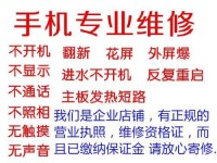 努比亚Z9mini拍照表现如何?(解析努比亚Z9mini的拍照性能,带你领略高品质的影像世界)