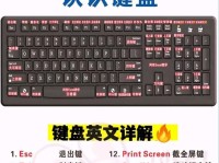 电脑基础学习教程（探索电脑基础知识，快速上手表格应用）
