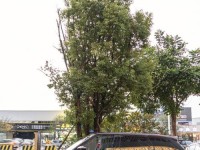 卡登仕纳米液体贴膜的优势与应用（探索未来汽车保护技术的先锋）