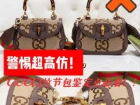 如何以双G包包安装教程电脑（从零开始，轻松搭建你的双G包包安装教程电脑）