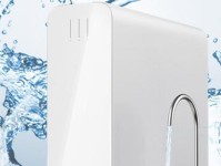 林斯特净水器——高效净化水源的首选（保护健康，享受优质水源，林斯特净水器的卓越品质引领行业潮流）