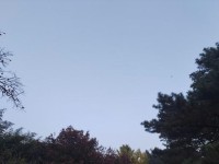 苹果VSvivo（对比苹果和vivo手机的拍照能力，哪一款更胜一筹？）