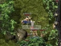 碳索新材料（碳索新材料的应用前景与挑战）