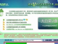 雨木林风光盘启动教程——探索自然之美（用一盘光盘，感受大自然的奇妙之处）