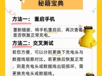 充电线失灵的补救方法（解决充电线无法正常充电的实用技巧）