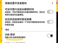 电脑调试模式使用教程（一步步教你轻松使用电脑调试模式）